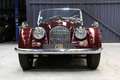 Morgan Plus 4 TR Rot - thumbnail 2