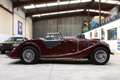 Morgan Plus 4 TR Rot - thumbnail 6