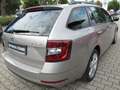 Skoda Octavia Combi Clever Beige - thumbnail 6
