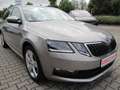 Skoda Octavia Combi Clever Beige - thumbnail 8