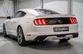 Ford Mustang 5.0  GT 50 YEARS LIMITED*CARPLAY*KAMERA Fekete - thumbnail 3