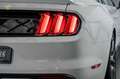 Ford Mustang 5.0  GT 50 YEARS LIMITED*CARPLAY*KAMERA Fekete - thumbnail 5