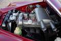 Jaguar 240 Saloon 3.8 engine ,Restored and refurbished co Rojo - thumbnail 18