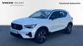 Volvo XC40 2.0 B3 PLUS DARK AUTO 163 5P - thumbnail 1