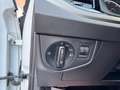 Volkswagen Polo 1.6 tdi Comfortline 95cv dsg NEOPATENTATI Blanc - thumbnail 18