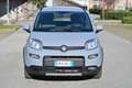 Fiat Panda 1.0 FireFly S&S Hybrid SOLO NOLEGGIO Grigio - thumbnail 2