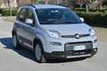 Fiat Panda 1.0 FireFly S&S Hybrid SOLO NOLEGGIO Grigio - thumbnail 1
