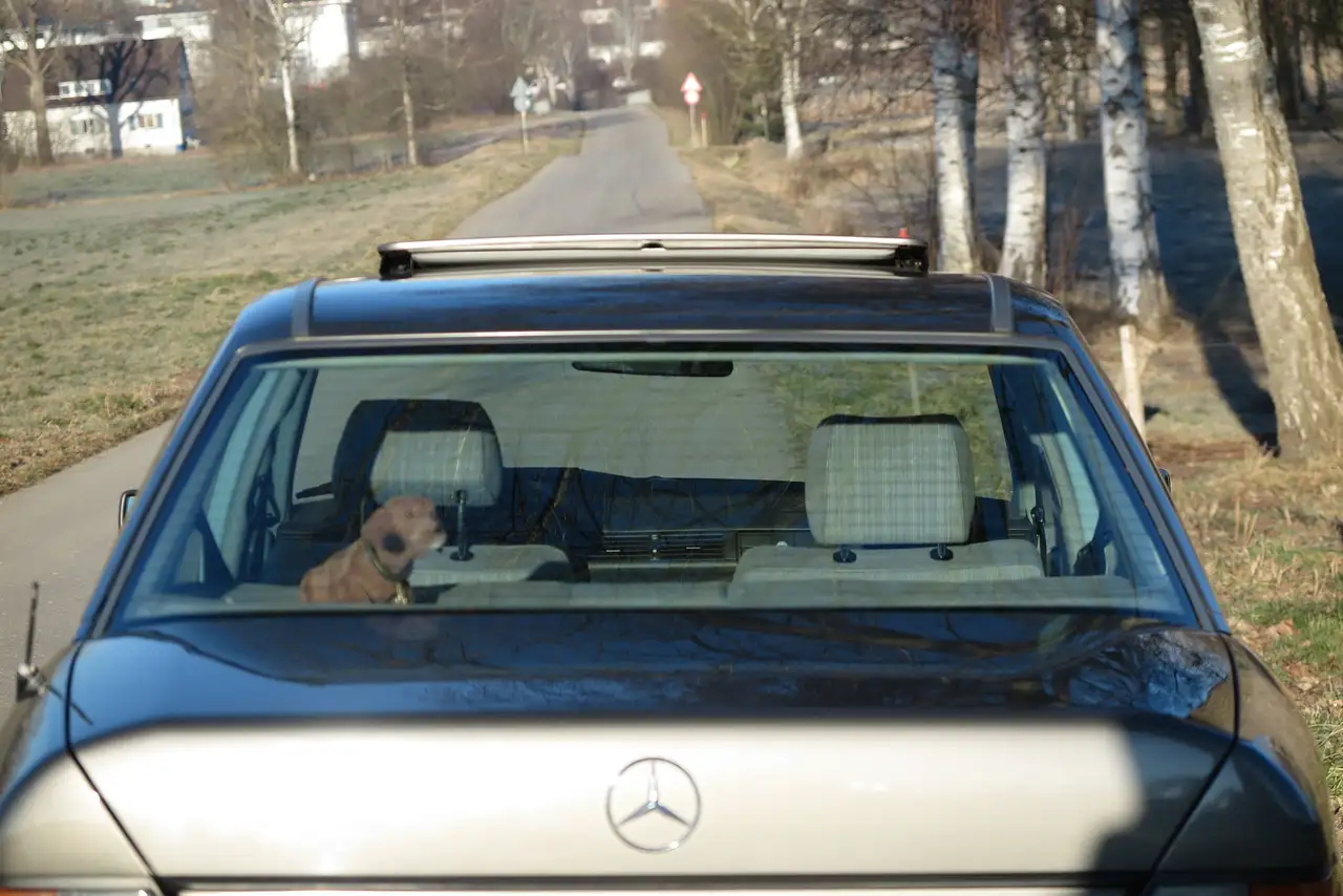 Mercedes-Benz 200 W124 200D VorMopf (Limousine), ESD, ZV, Colorglas, Alu, Metallic, H-Zulassung, Euro 2, Zustandsnote 2 (classic-analytics), foto 6