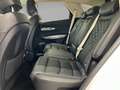 Genesis GV70 Elektro 77,4 kWh Sport PANO/DCC/MATRIX Weiß - thumbnail 9