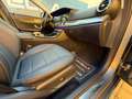Mercedes-Benz E 220 E-Klasse E 220 d Avantgarde Grau - thumbnail 29