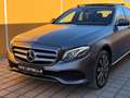 Mercedes-Benz E 220 E-Klasse E 220 d Avantgarde Grau - thumbnail 44