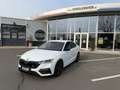Skoda Octavia 1.4 TSI iV RS * HEAD-UP * TOP-ANGEBOT Weiß - thumbnail 7