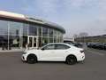 Skoda Octavia 1.4 TSI iV RS * HEAD-UP * TOP-ANGEBOT Weiß - thumbnail 8