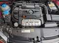 Volkswagen Golf VI Cabriolet Highline Rot - thumbnail 8