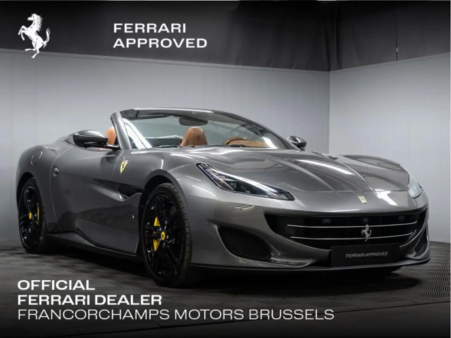Ferrari Portofino / Grijs - 1