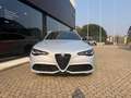 Alfa Romeo Giulia Giulia 2.0 T 280 CV AT8  Q4 Veloce -Nuova Da imma Weiß - thumbnail 3