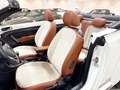 Volkswagen Beetle Cabrio Sport 1.4 TSI 150CV BMT Blanc - thumbnail 32