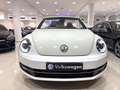 Volkswagen Beetle Cabrio Sport 1.4 TSI 150CV BMT Blanc - thumbnail 41