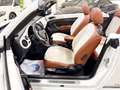 Volkswagen Beetle Cabrio Sport 1.4 TSI 150CV BMT Blanc - thumbnail 30