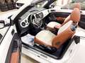 Volkswagen Beetle Cabrio Sport 1.4 TSI 150CV BMT Blanc - thumbnail 5