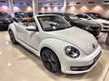 Volkswagen Beetle Cabrio Sport 1.4 TSI 150CV BMT Blanc - thumbnail 12