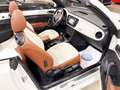 Volkswagen Beetle Cabrio Sport 1.4 TSI 150CV BMT Blanc - thumbnail 7