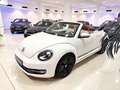 Volkswagen Beetle Cabrio Sport 1.4 TSI 150CV BMT Blanc - thumbnail 13