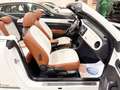 Volkswagen Beetle Cabrio Sport 1.4 TSI 150CV BMT Blanc - thumbnail 15