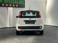 Fiat Panda 1.2 EasyPower GPL|NEOPATENTATI|TAGLIANDI|20.000 KM Bianco - thumbnail 6