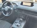 Mazda MX-30 First Edition Leder 54Tkm LED 1Hand Weiß - thumbnail 16