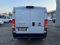 Fiat Ducato L2H1 Kastenwagen Weiß - thumbnail 5