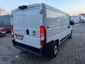 Fiat Ducato L2H1 Kastenwagen Weiß - thumbnail 4