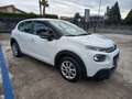 Citroen C3 C3 BlueHDi 100 S&S Van Feel Bianco - thumbnail 3