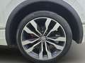 Volkswagen Tiguan 2.0 TDI R-Line *AHK* Weiß - thumbnail 19