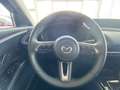 Mazda CX-30 2.0 Homura Automatik Navi, Kamera, ACC Grau - thumbnail 9