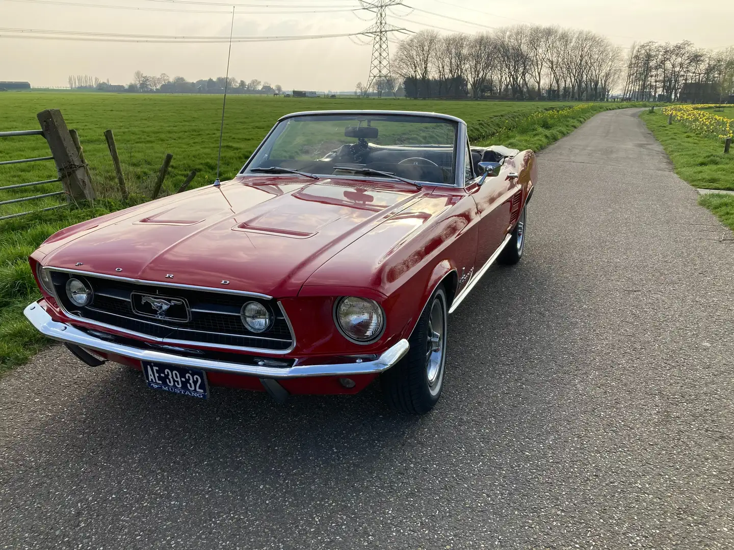 Ford Mustang Cabrio 289 v8 aut Rojo - 2