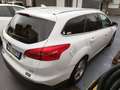 Ford Focus 1.6 Titanium Gpl 120cv 2015 Blanco - thumbnail 12