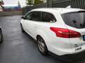 Ford Focus 1.6 Titanium Gpl 120cv 2015 Blanco - thumbnail 14
