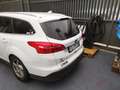 Ford Focus 1.6 Titanium Gpl 120cv 2015 Blanco - thumbnail 13
