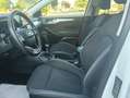 Ford Focus V 2021 SW SW 1.5 ecoblue Business PREZZO REALE Blanc - thumbnail 10