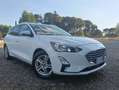 Ford Focus V 2021 SW SW 1.5 ecoblue Business PREZZO REALE Blanc - thumbnail 4