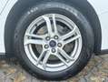 Ford Focus V 2021 SW SW 1.5 ecoblue Business PREZZO REALE Blanc - thumbnail 15