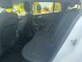 Ford Focus V 2021 SW SW 1.5 ecoblue Business PREZZO REALE Blanc - thumbnail 12