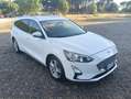 Ford Focus V 2021 SW SW 1.5 ecoblue Business PREZZO REALE Blanc - thumbnail 8