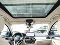 BMW 530 e xDrive PHEV 292cv FariLED Pelle Tetto Navi Bleu - thumbnail 13
