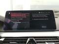 BMW 530 e xDrive PHEV 292cv FariLED Pelle Tetto Navi Bleu - thumbnail 39