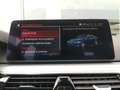 BMW 530 e xDrive PHEV 292cv FariLED Pelle Tetto Navi Bleu - thumbnail 37