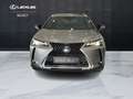 Lexus UX 250h UX 250h 2.0 Executive 2wd cvt Gri - thumbnail 13
