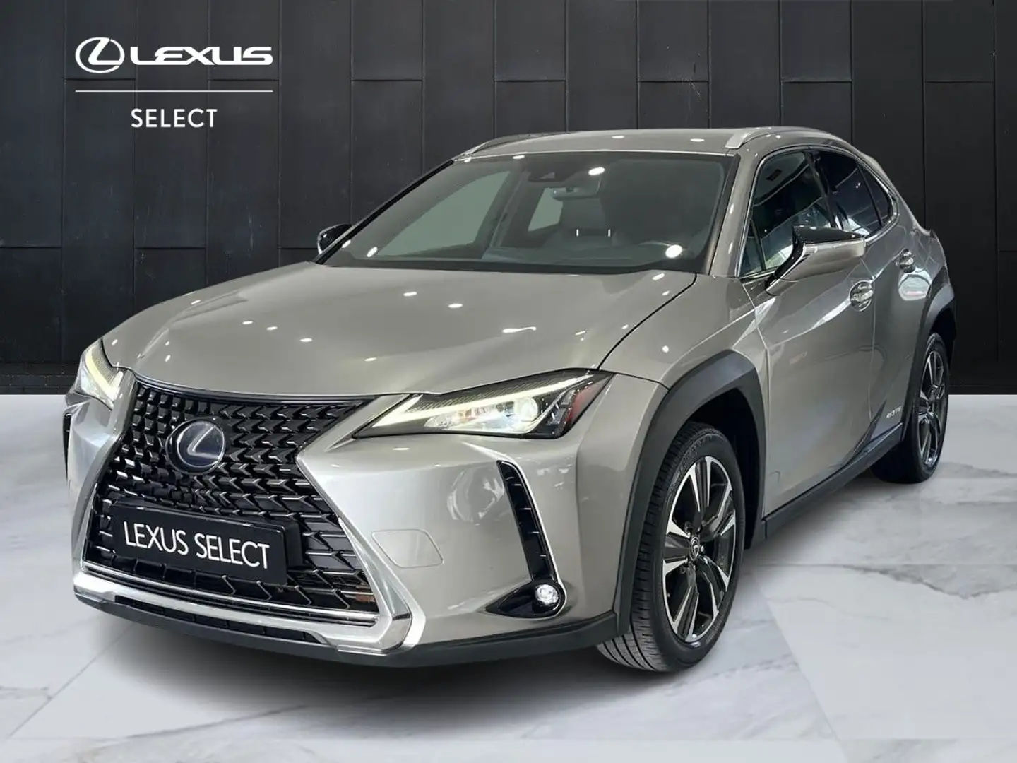 Lexus UX 250h UX 250h 2.0 Executive 2wd cvt Gri - 1