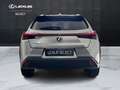 Lexus UX 250h UX 250h 2.0 Executive 2wd cvt Gri - thumbnail 12